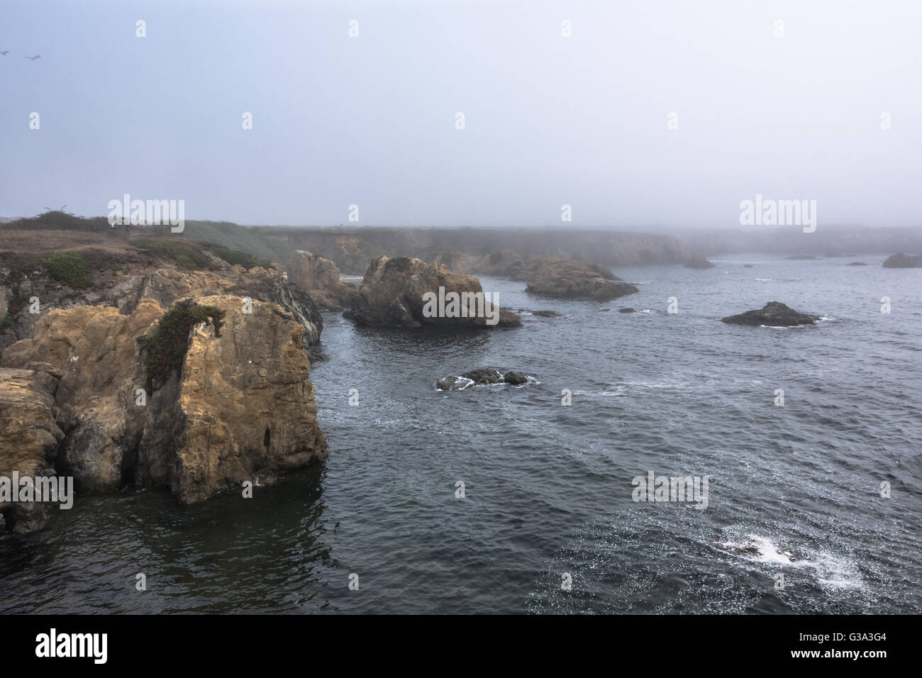 Tsunami warning fort bragg california