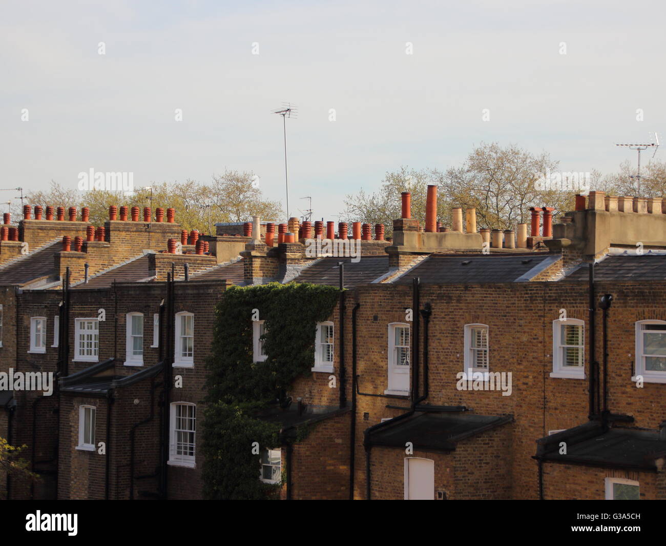 London Standard Rooftop with Typical Rows of Chimneys Stock Photo Alamy