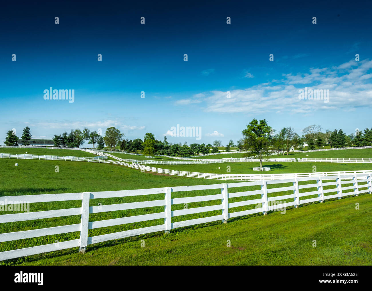 Overlooking the pastures and bright green grass of Kentucky horse farms Stock Photo