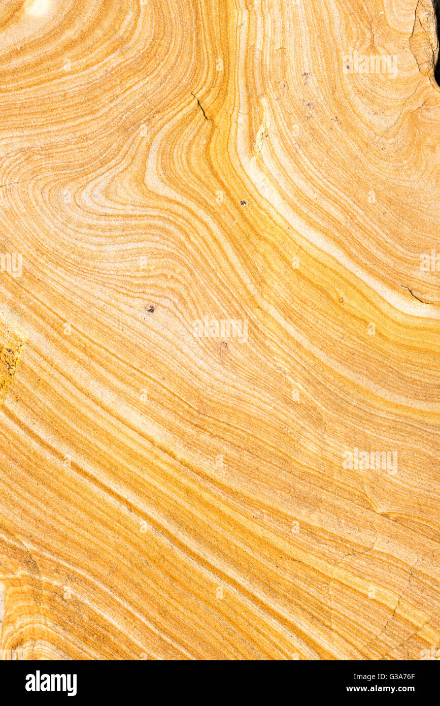 Detail of the patterns in picture sandstone, Southern Utah Stock Photo ...