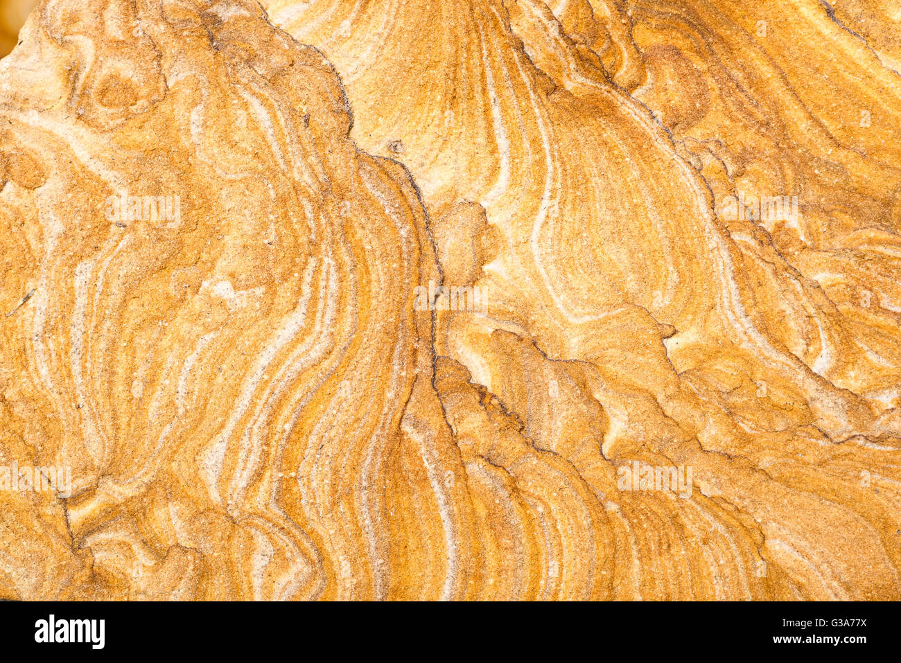 Detail of the patterns in picture sandstone, Southern Utah Stock Photo ...