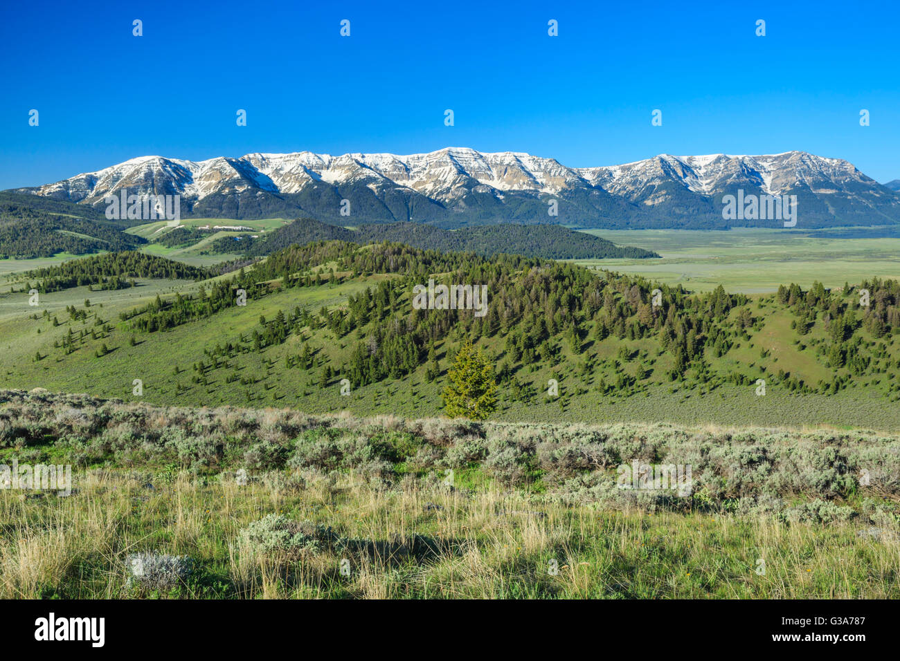 centennial mountains above red rock lakes national wildlife refuge near lakeview, montana Stock Photo