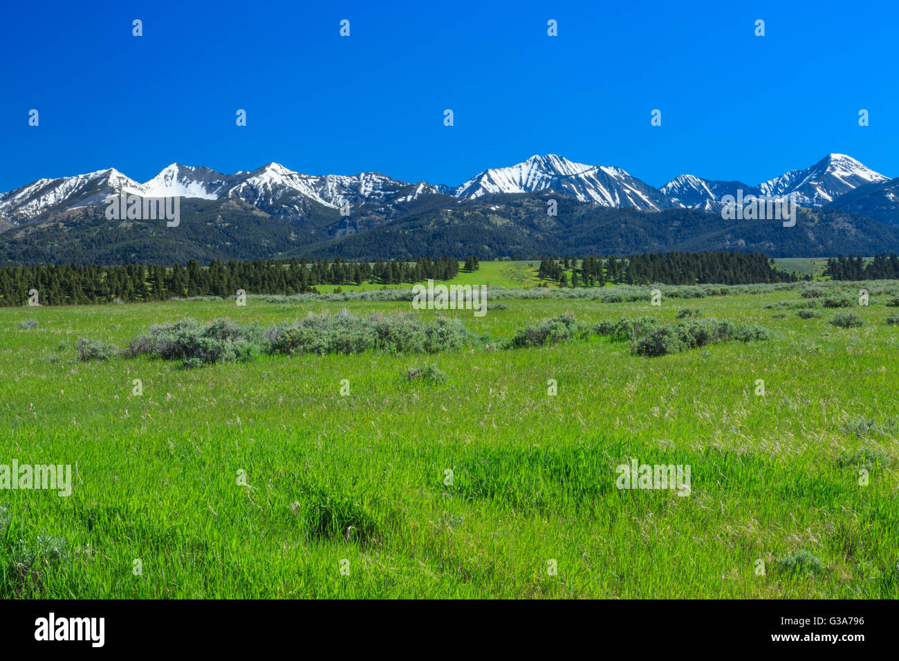 crazy mountains above prairie and foothills near clyde park, montana