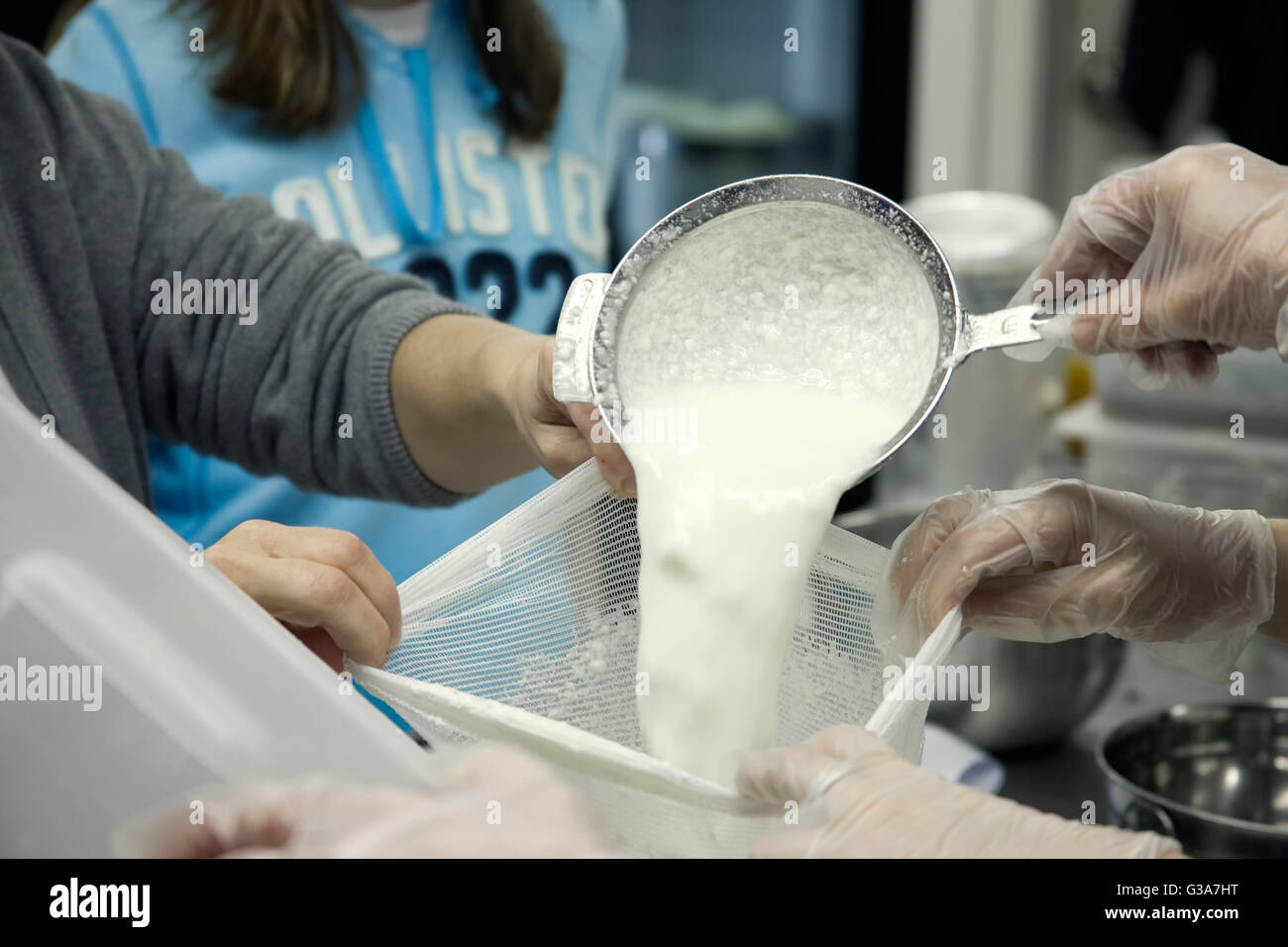 Women hooping the curds of feta cheese in a cheesemaking class Stock Photo