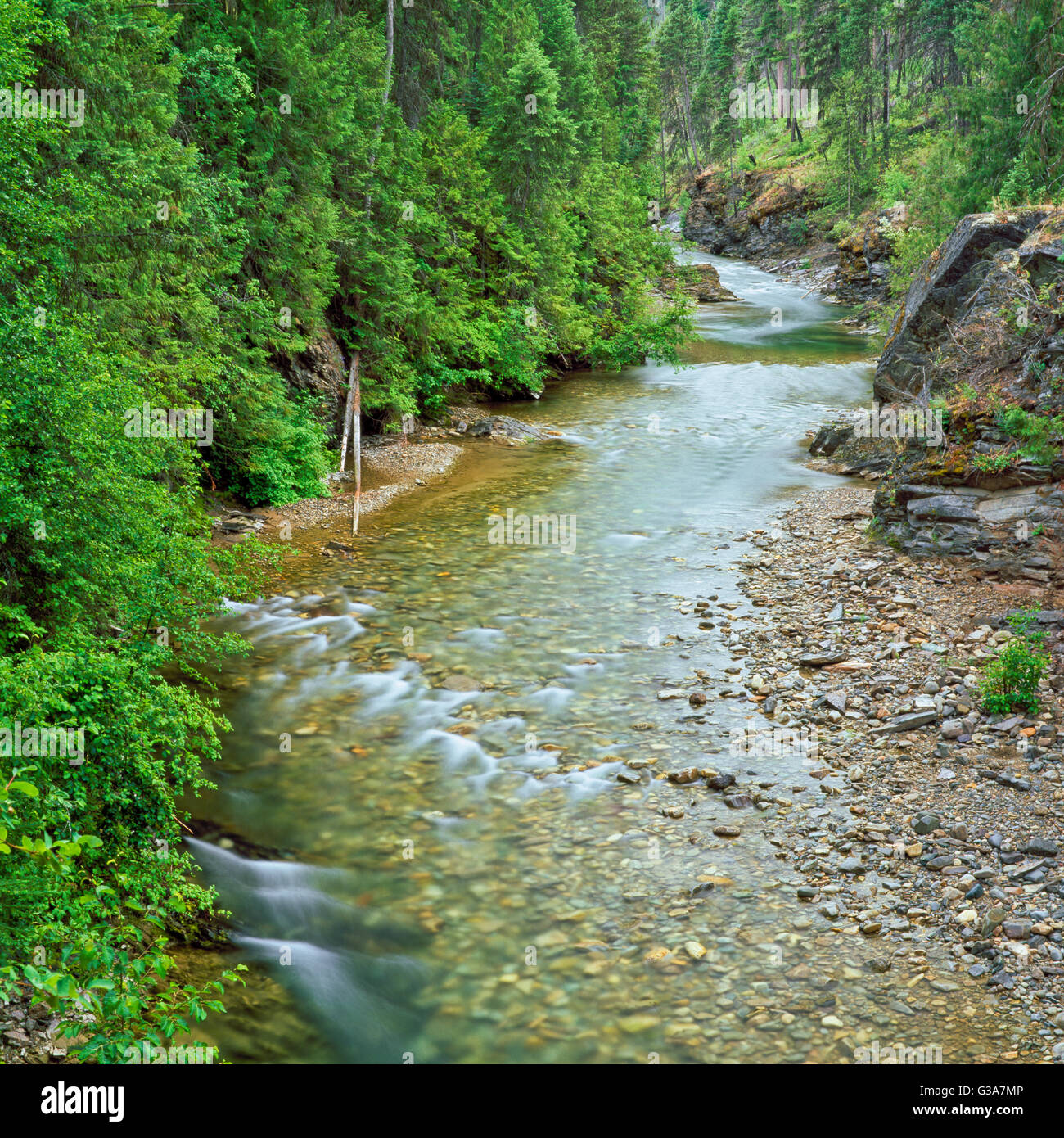 libby creek flowing from the cabinet mountains in kootenai national forest near libby, montana Stock Photo