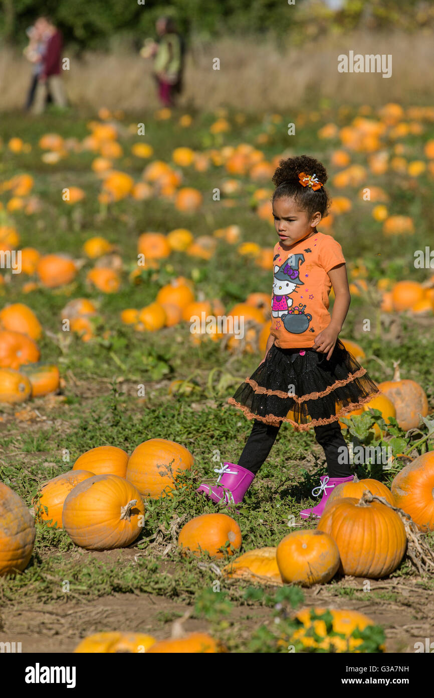 Young girl enjoying a stroll through a pumpkin patch at The Gorge White House Fruit Stand near Hood River, Oregon, USA. Stock Photo