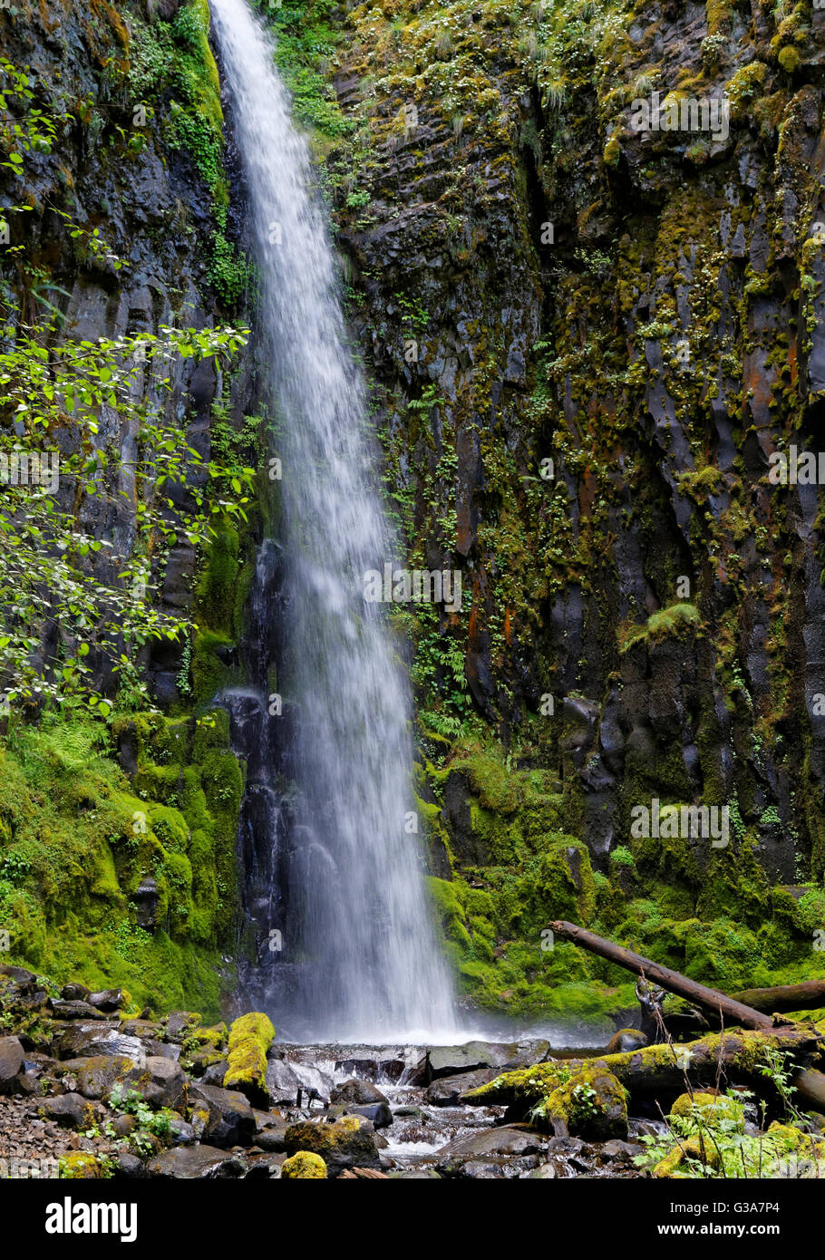 42,138.08945 Thirty 30 foot tall waterfall cascading over a basalt moss covered cliff into a pool of water below Stock Photo