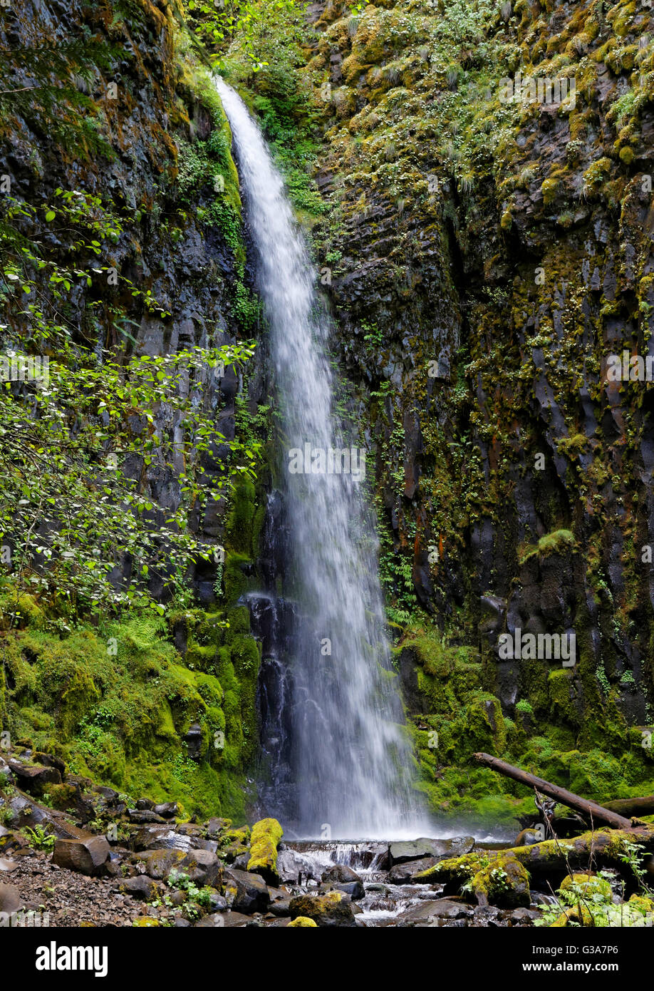 42,138.08946 Thirty 30 foot tall waterfall cascading over a basalt moss covered cliff into a pool of water below Stock Photo