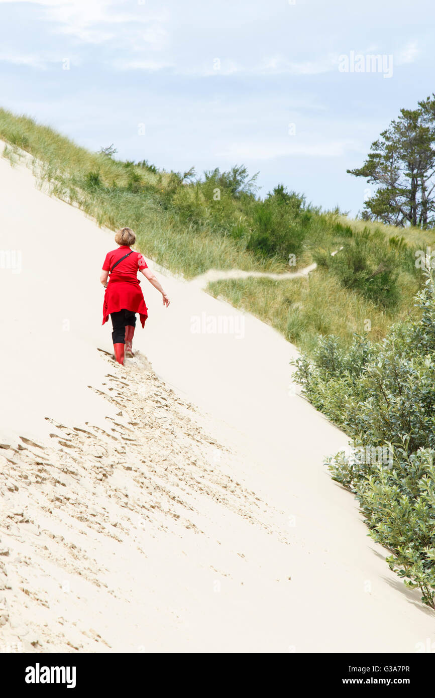 41,443.04818 Woman in red hiking on a steep side hill slope sloping trail of a sand dune where it meets the grass & forest edge Stock Photo