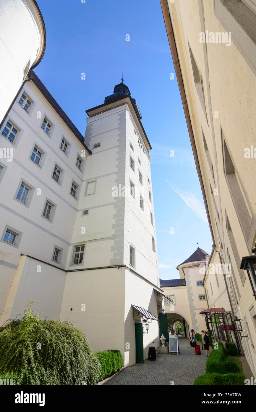 Weinberg castle, Austria, Oberösterreich, Upper Austria, Mühlviertel, Kefermarkt Stock Photo