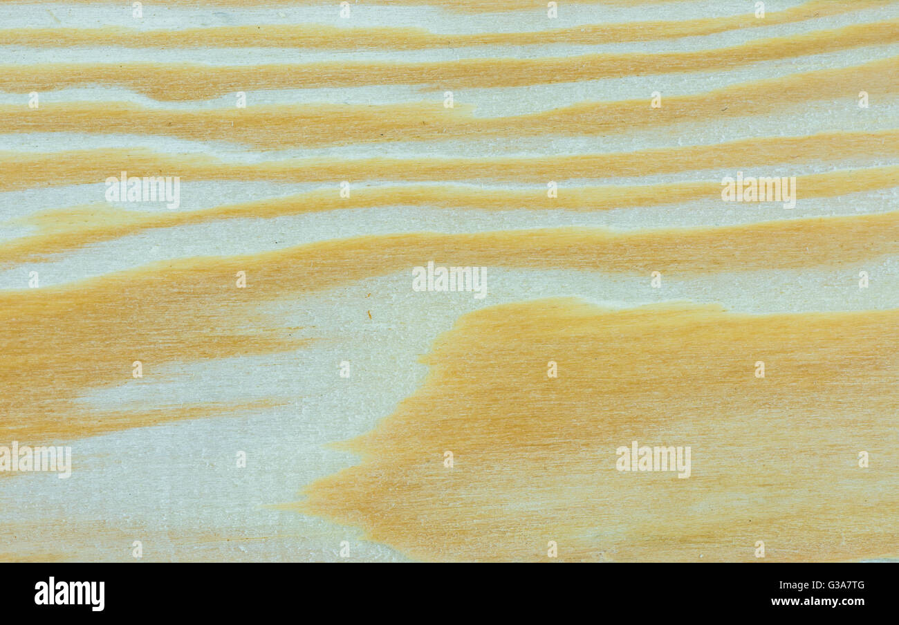 Larch Tree Wood Texture High Resolution Stock Photography and Images ...