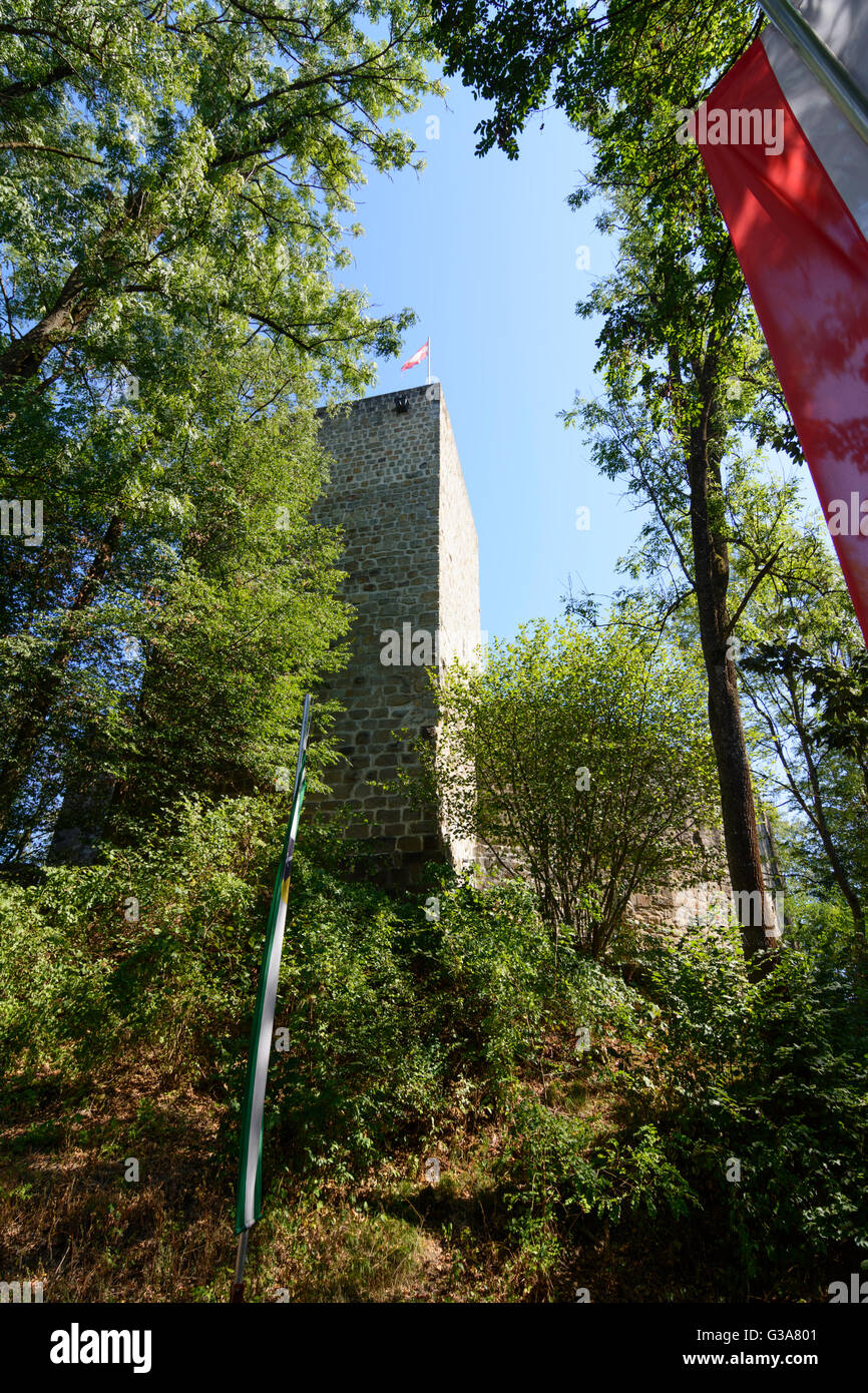 castle ruin Windegg, Austria, Oberösterreich, Upper Austria, Donau, Schwertberg Stock Photo