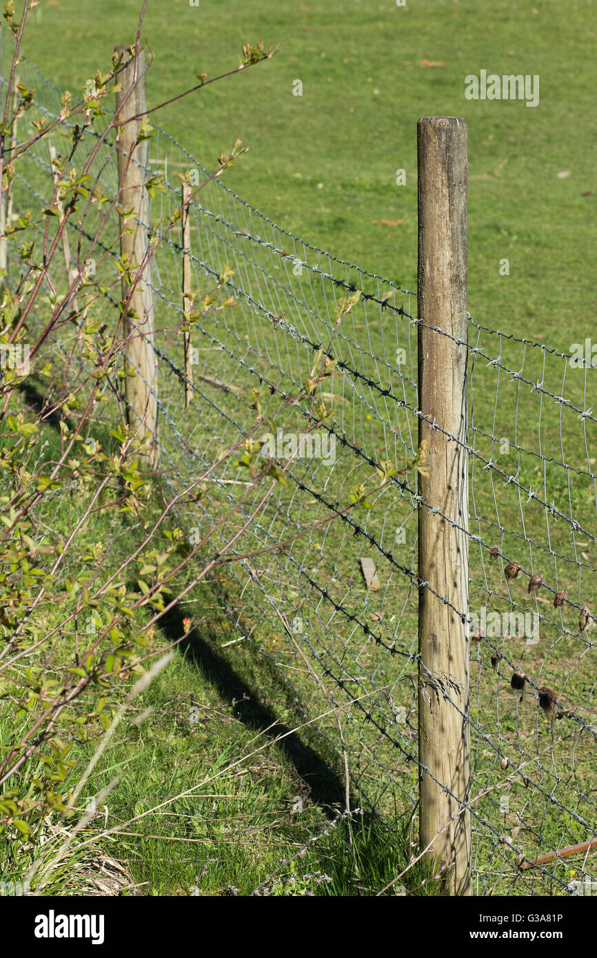 Barbed wire fence cattle farm hires stock photography and images Alamy