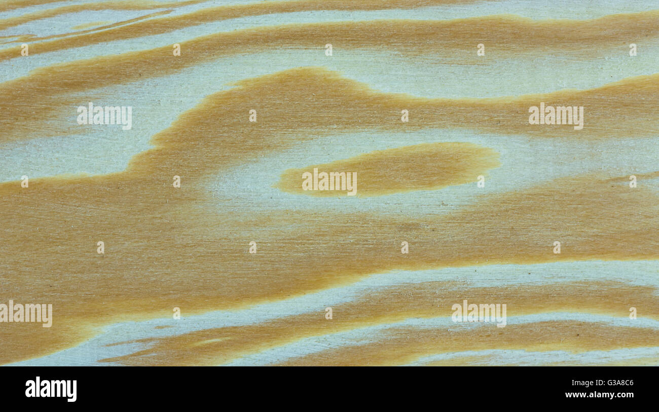 Larch Tree Texture Part of Larch tree wood texture Stock Photo - Alamy