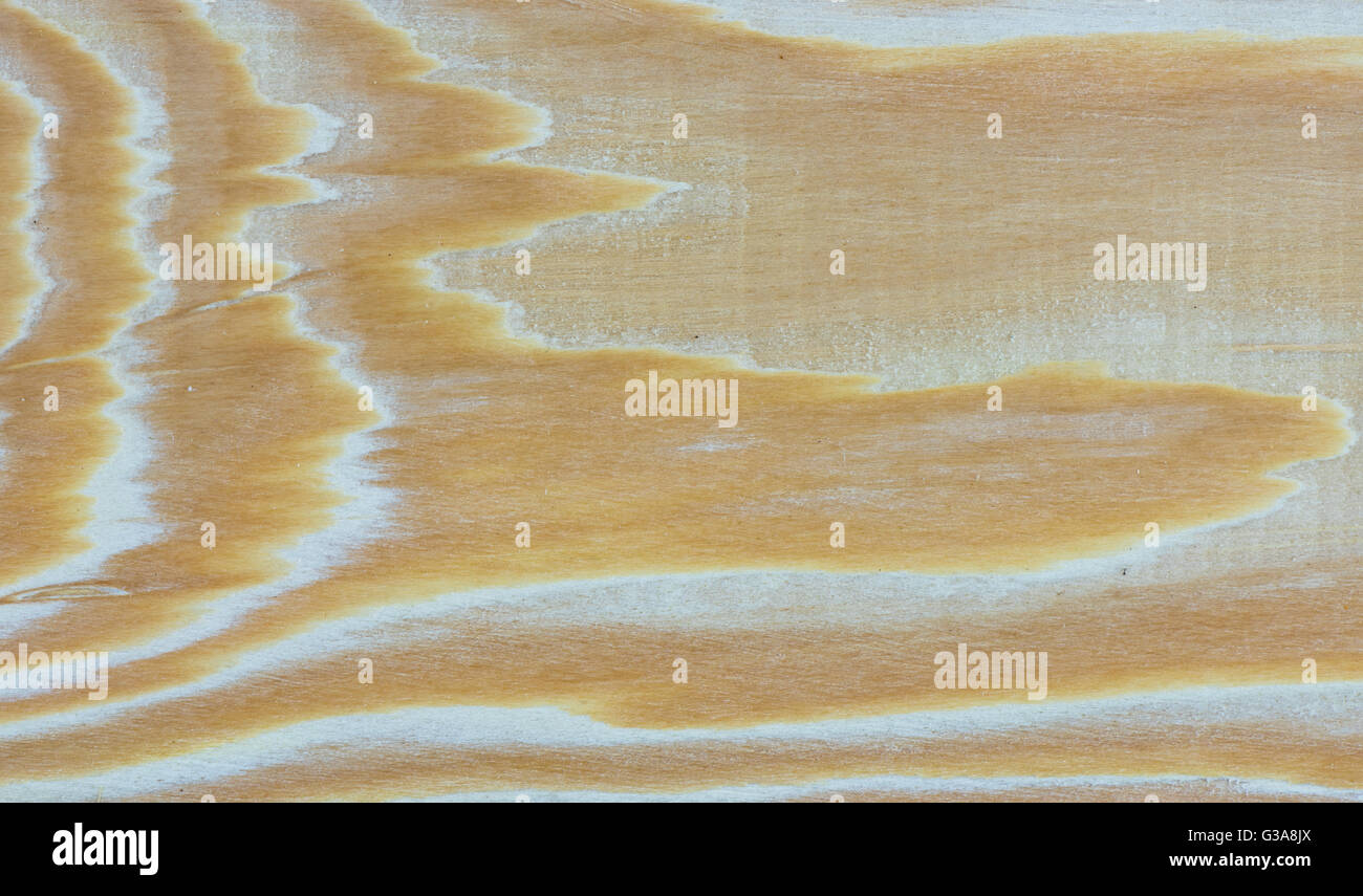Larch Tree Texture Part of Larch tree wood texture Stock Photo - Alamy