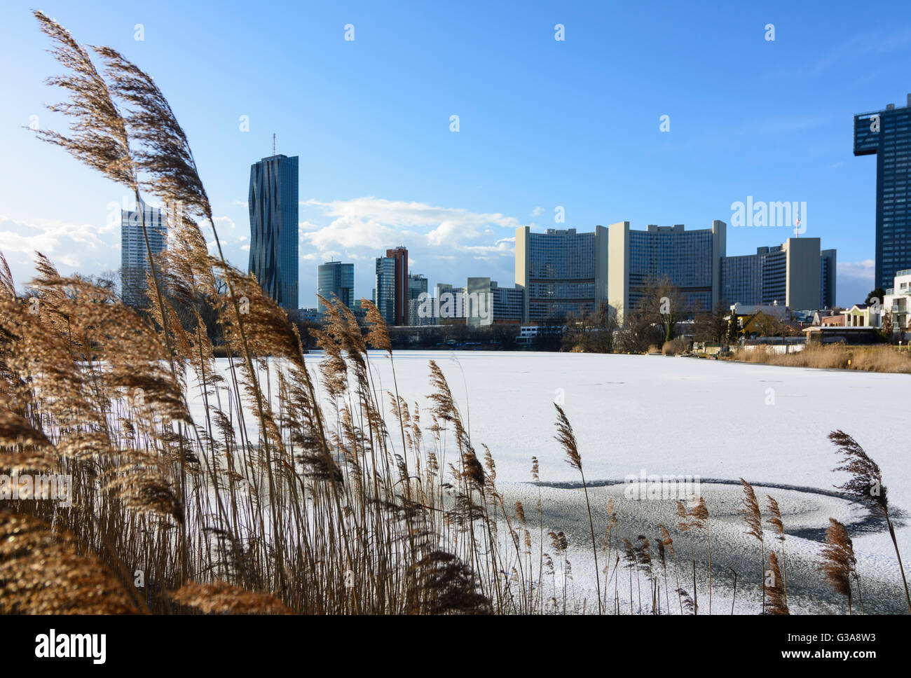 lake Kaiserwasser with ice and snow , behind the DC Tower 1 and the UN building, Austria, Wien, 22., Wien, Vienna Stock Photo