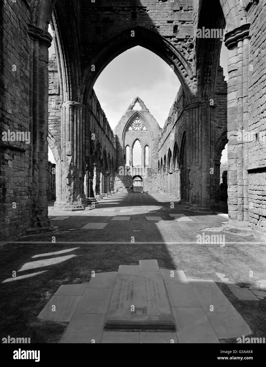 Looking W at the crossing & nave of Sweetheart Abbey church from the chancel: built of red Nithsdale sandstone. Founded in 1273 by Lady Dervorgilla. Stock Photo