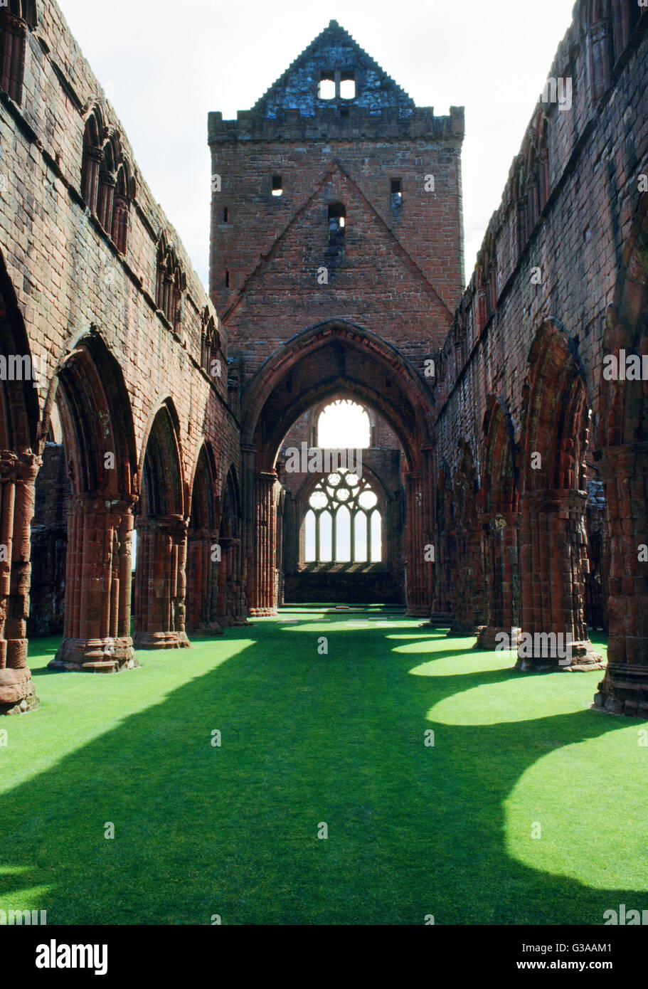 Nave, crossing-tower, chancel & E window of Sweetheart Abbey church: built of red Nithsdale sandstone, mainly C13th. Founded by Lady Dervorgilla 1273. Stock Photo