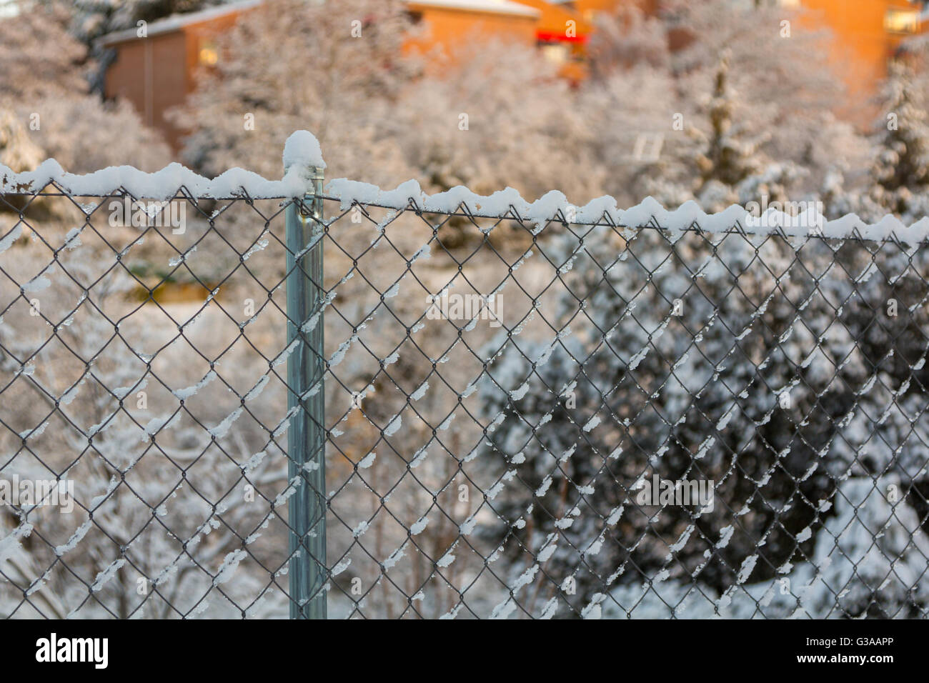 packed snow fence Stock Photo