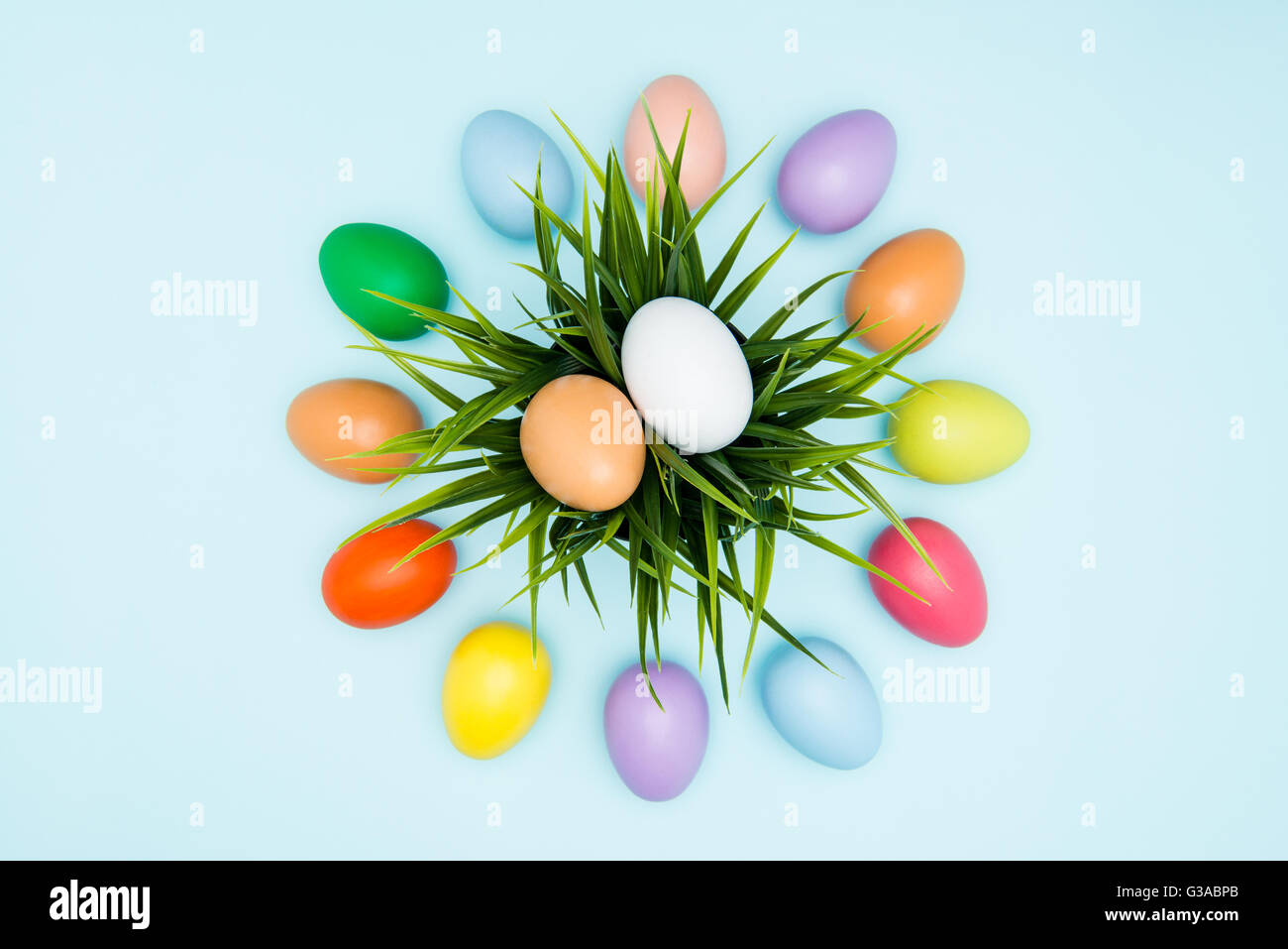 Colorful easter eggs arranged in a circular on pastel background Stock ...