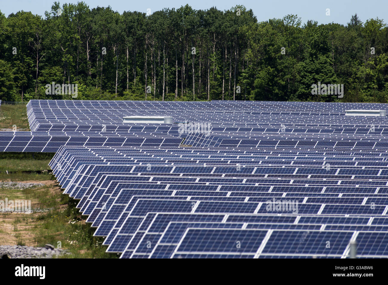 A field of solar panels in Odessa, Ont., on June 9, 2016 Stock Photo