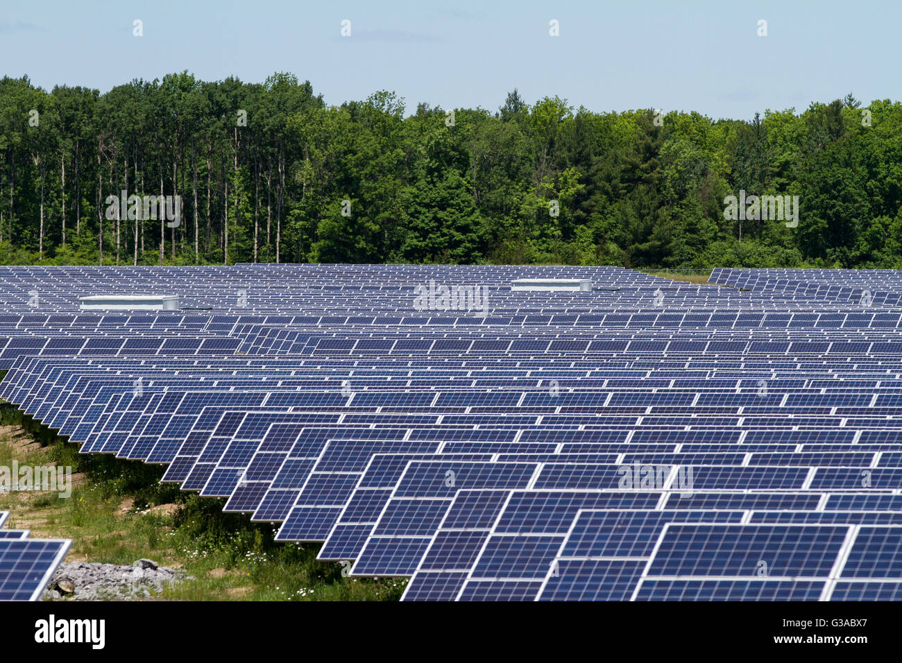 A field of solar panels in Odessa, Ont., on June 9, 2016. Stock Photo