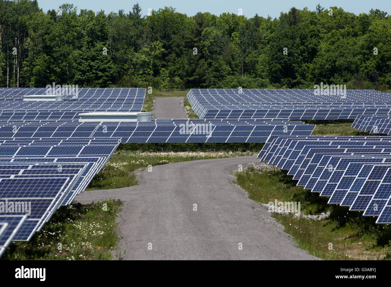 A field of solar panels in Odessa, Ont., on June 9, 2016 Stock Photo