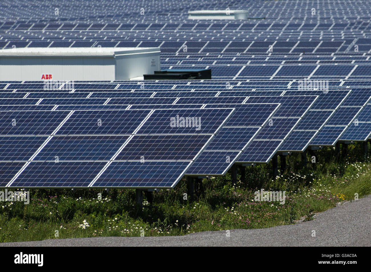 A field of solar panels in Odessa, Ont., on June 9, 2016 Stock Photo