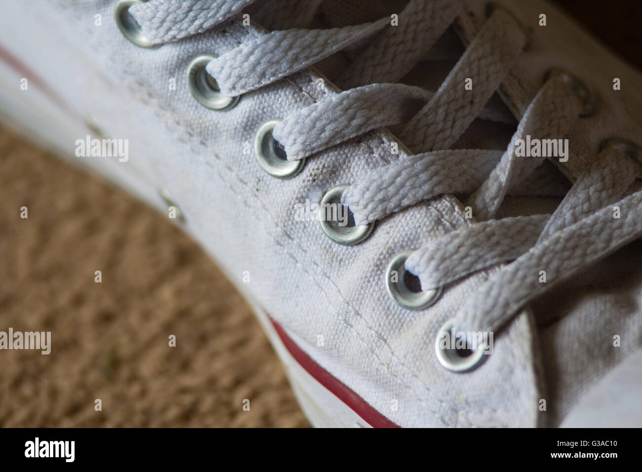 converse valencia white