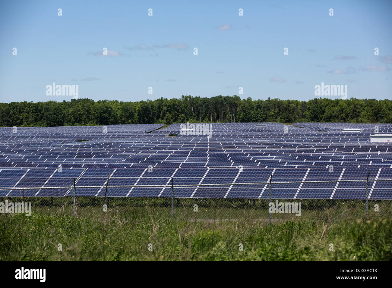 A field of solar panels in Odessa, Ont., on June 9, 2016 Stock Photo