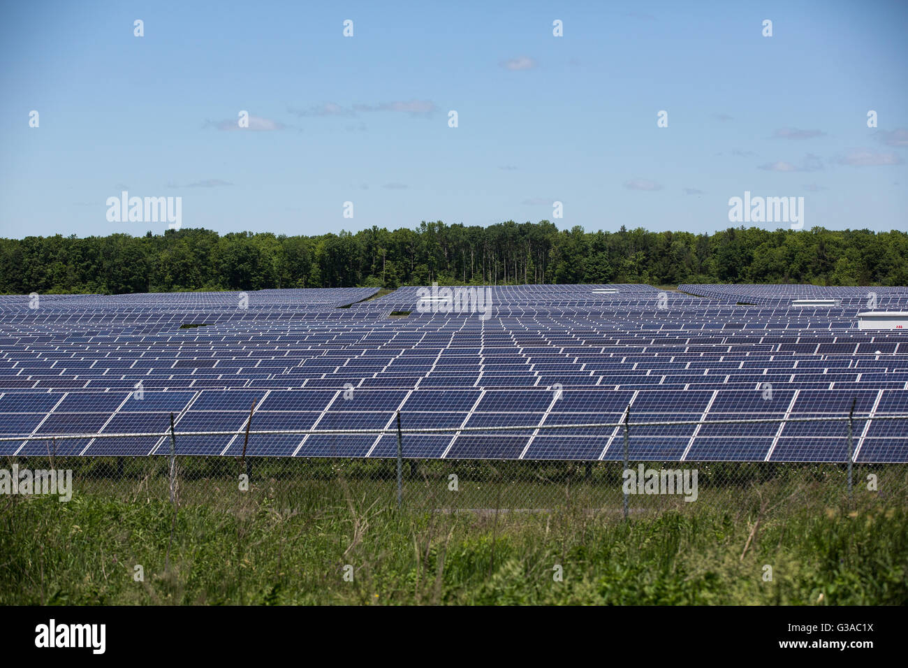 A field of solar panels in Odessa, Ont., on June 9, 2016. Stock Photo