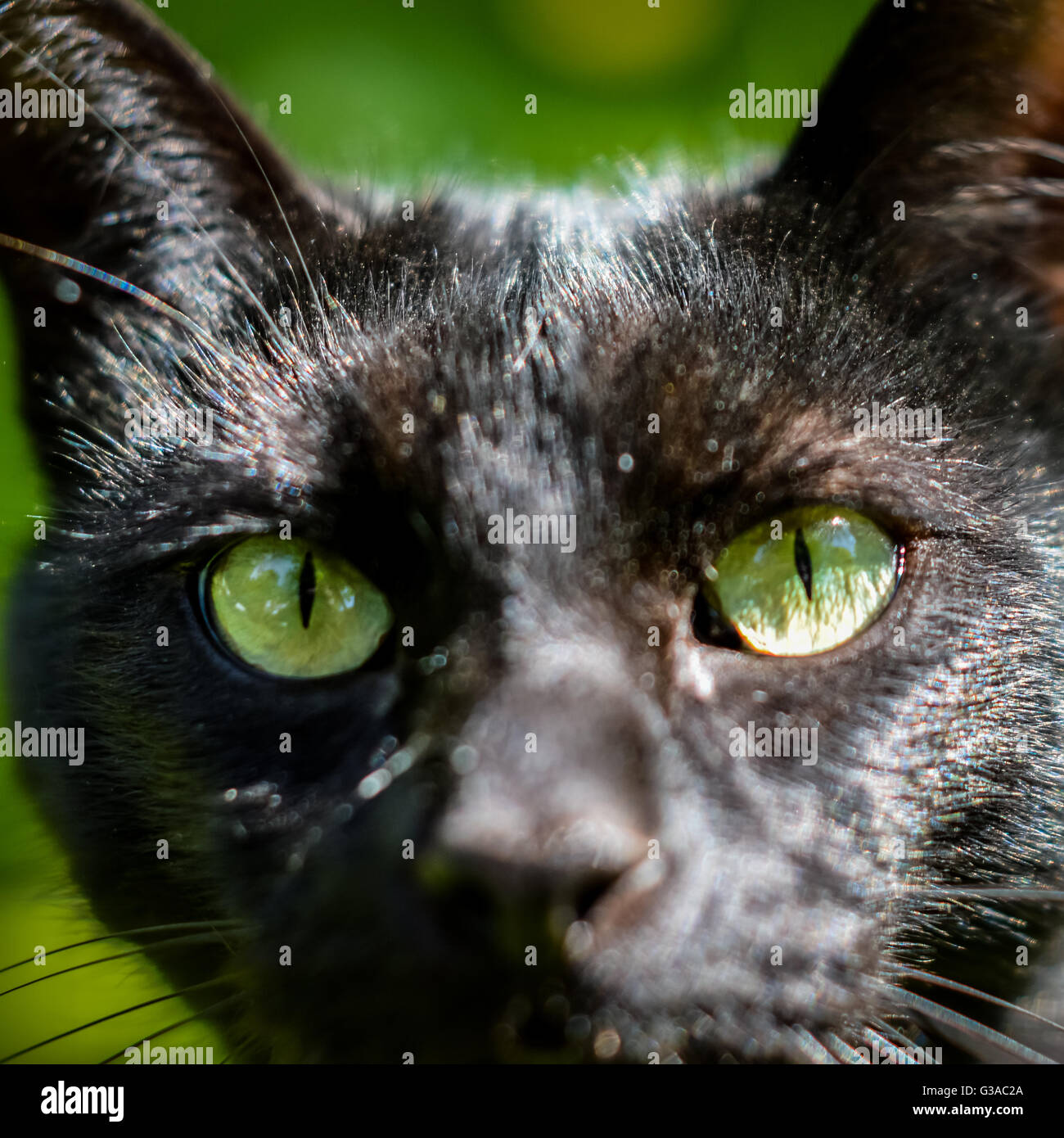 My Image 25