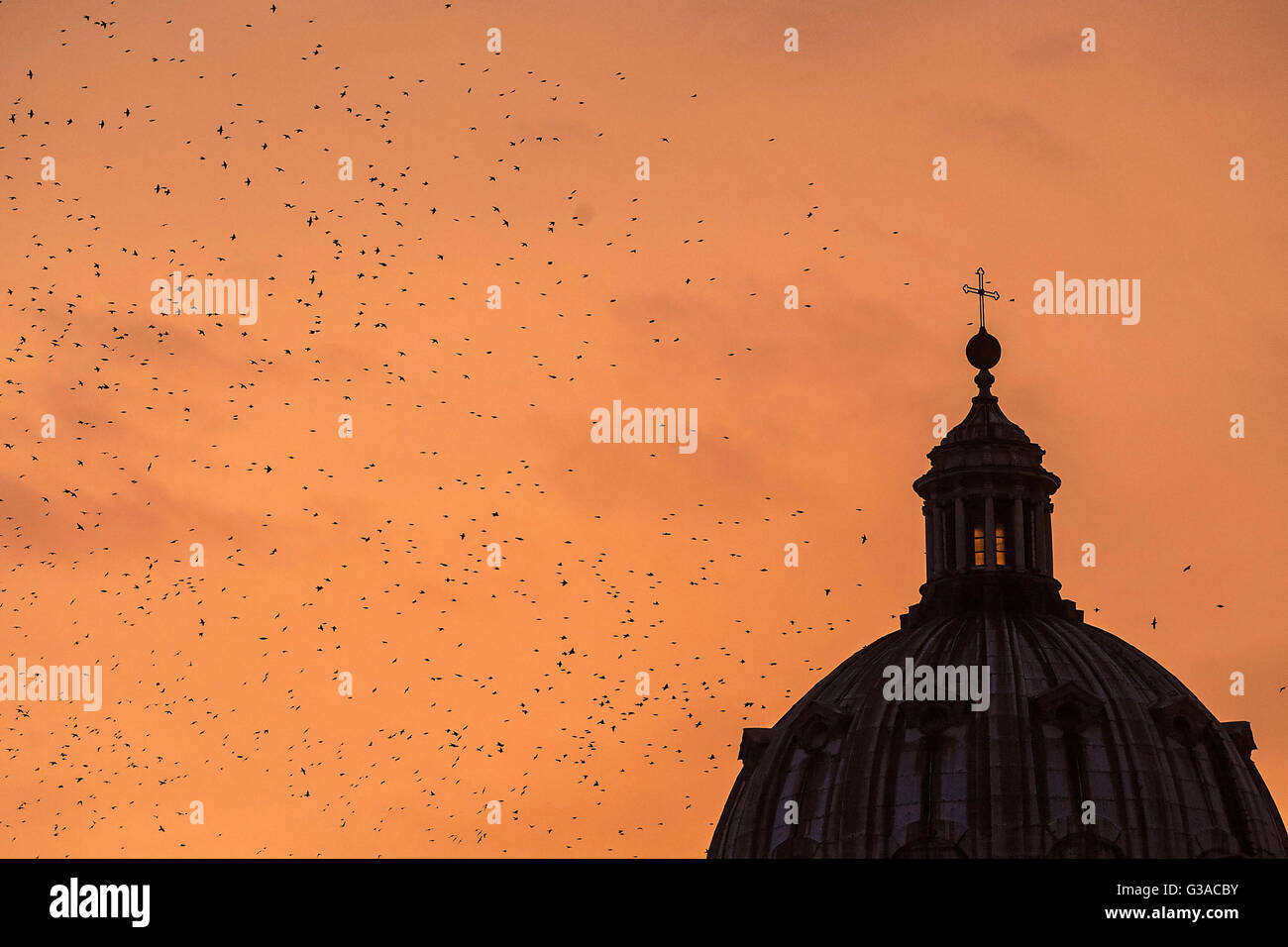 Italian birds hi-res stock photography and images - Alamy