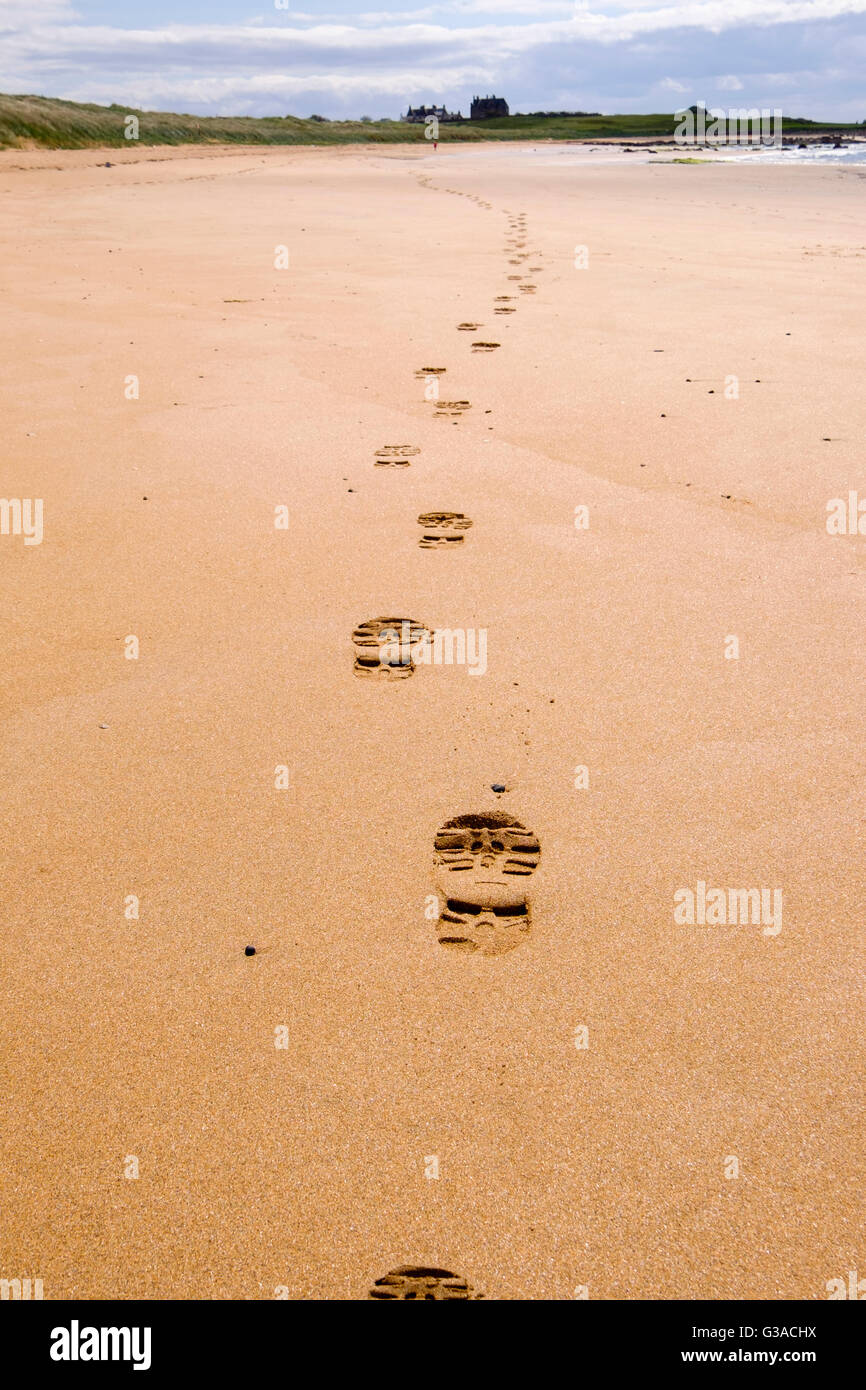 Sandy beach at elie fife hires stock photography and images Alamy
