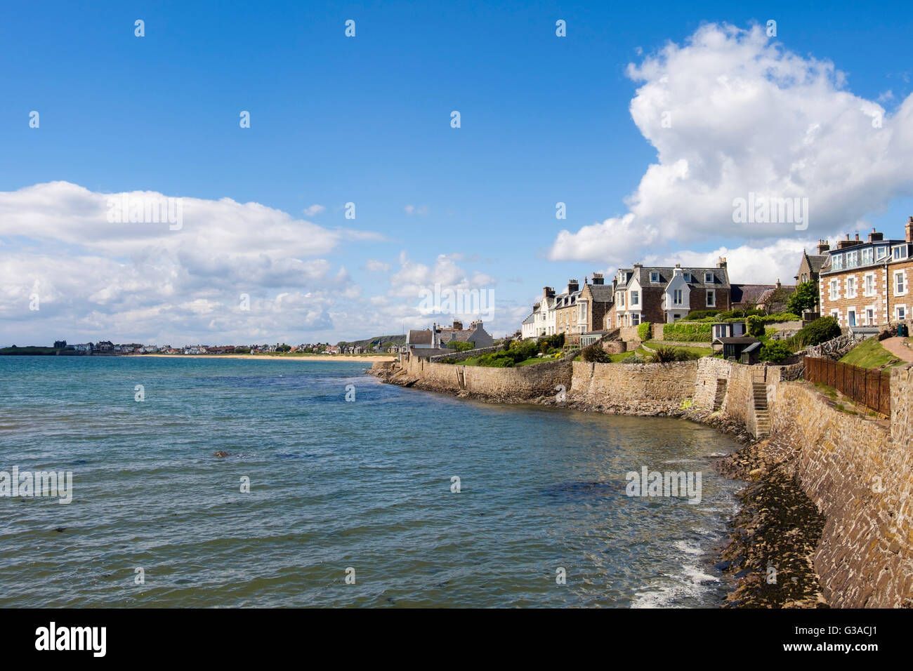 Seafront buildings in village overlooking sea on Firth of Forth coast Elie and Earlsferry East Neuk Fife Scotland UK Britain Stock Photo