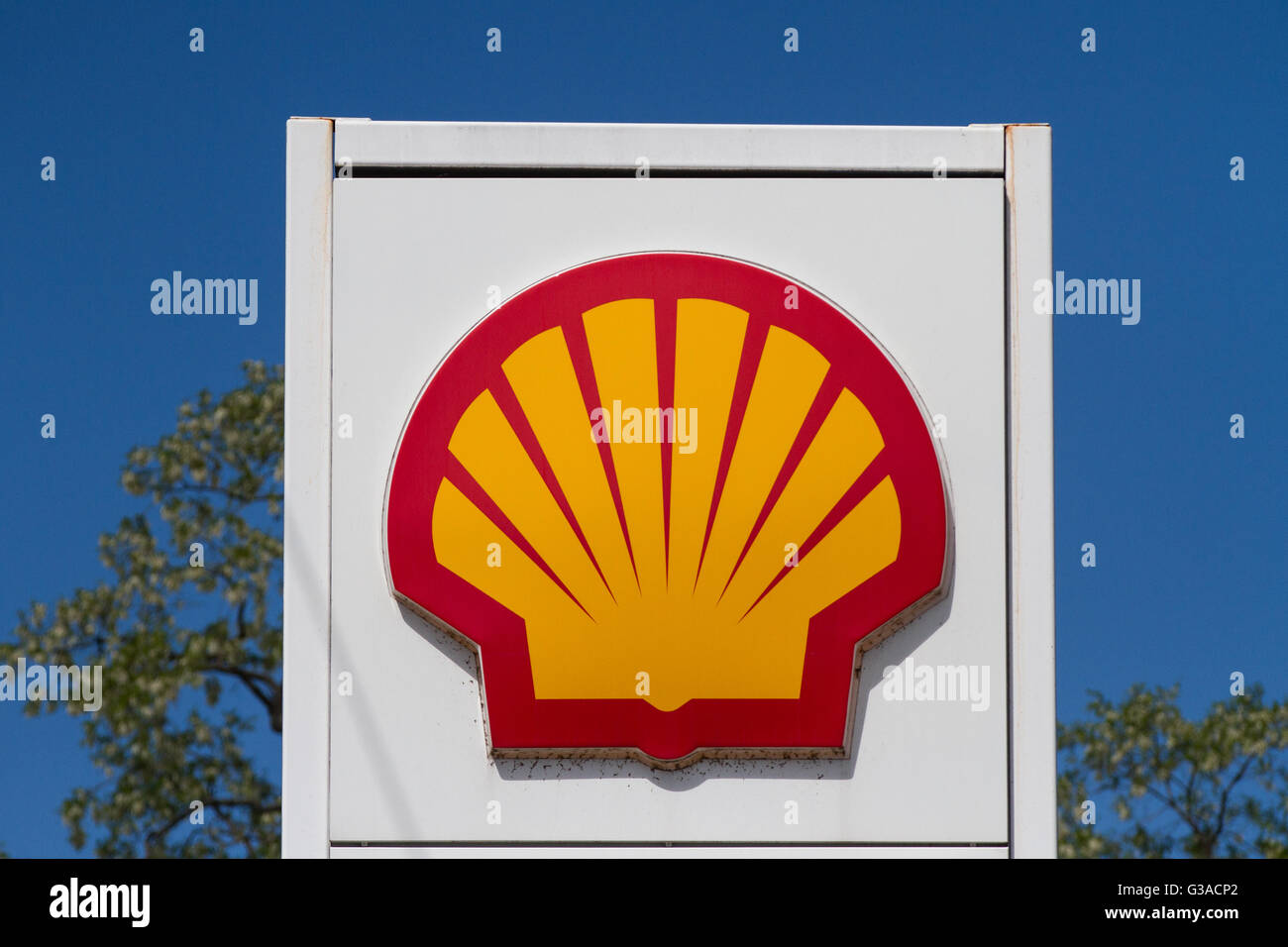 Shell gas station in Kingston, Ont., on June 9, 2016 Stock Photo Alamy