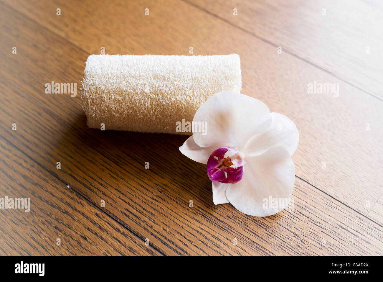 Sponge Spa Spa sponge hi-res stock photography and images - Alamy