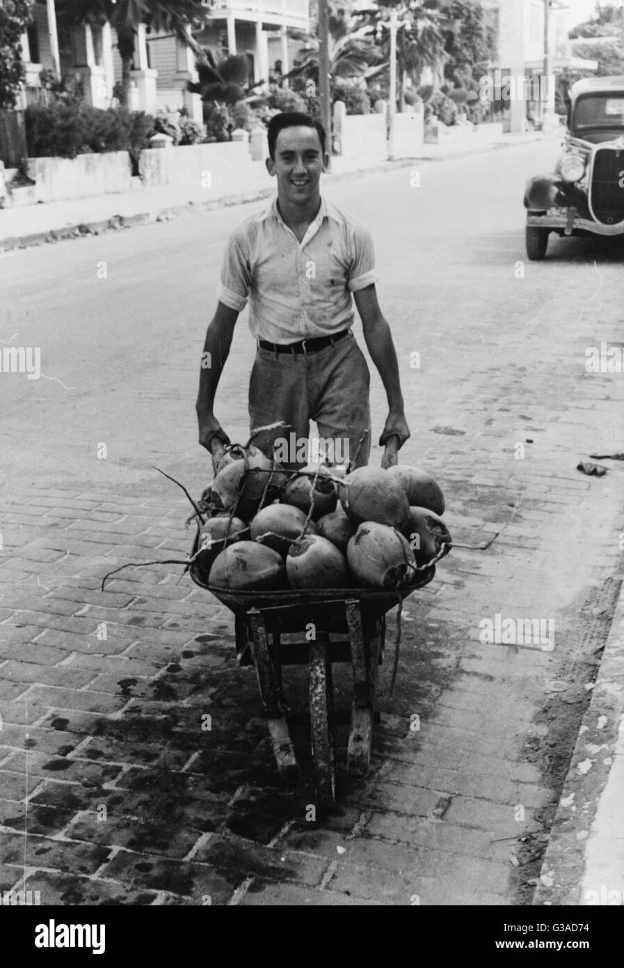 Coconuts, Key West, Florida Stock Photo Alamy