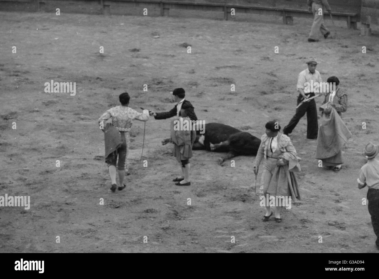 Matamoros, Mexico. Death of the bull Stock Photo