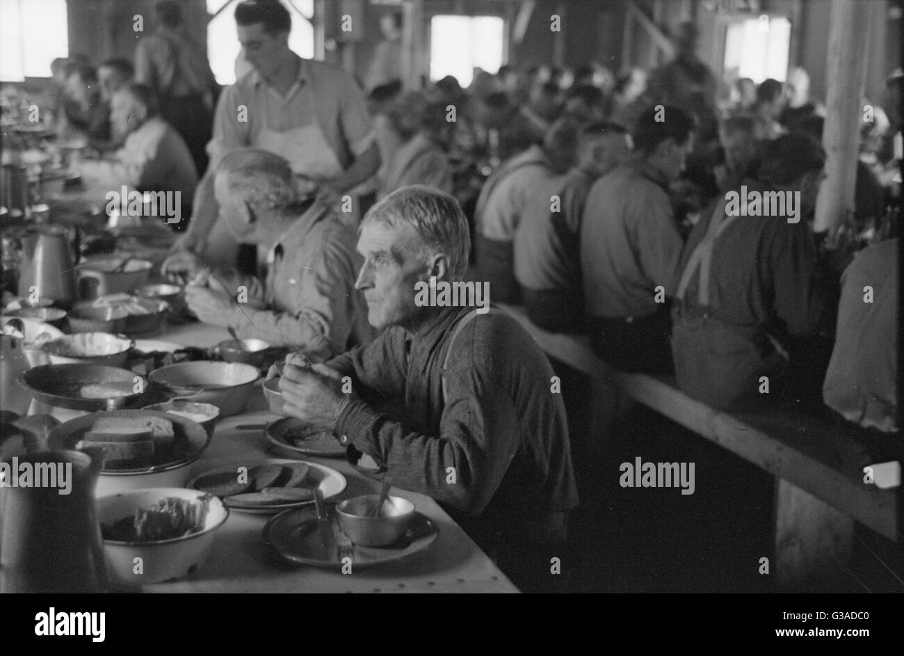 Lumberjacks eating dinner at camp near Effie, Minnesota Stock Photo - Alamy