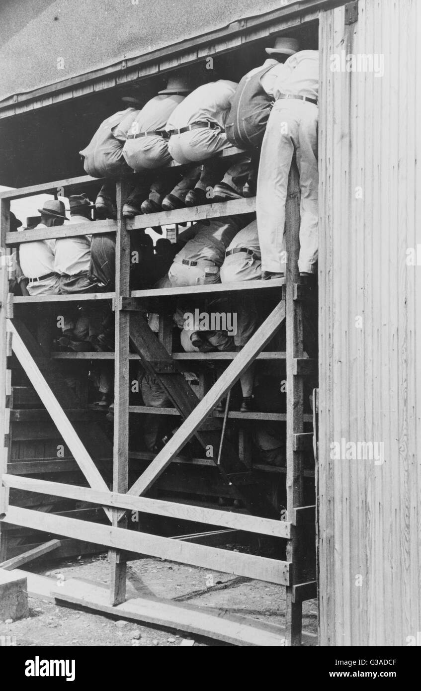 Spectators at cattle auction, Sikeston, Missouri Stock Photo Alamy