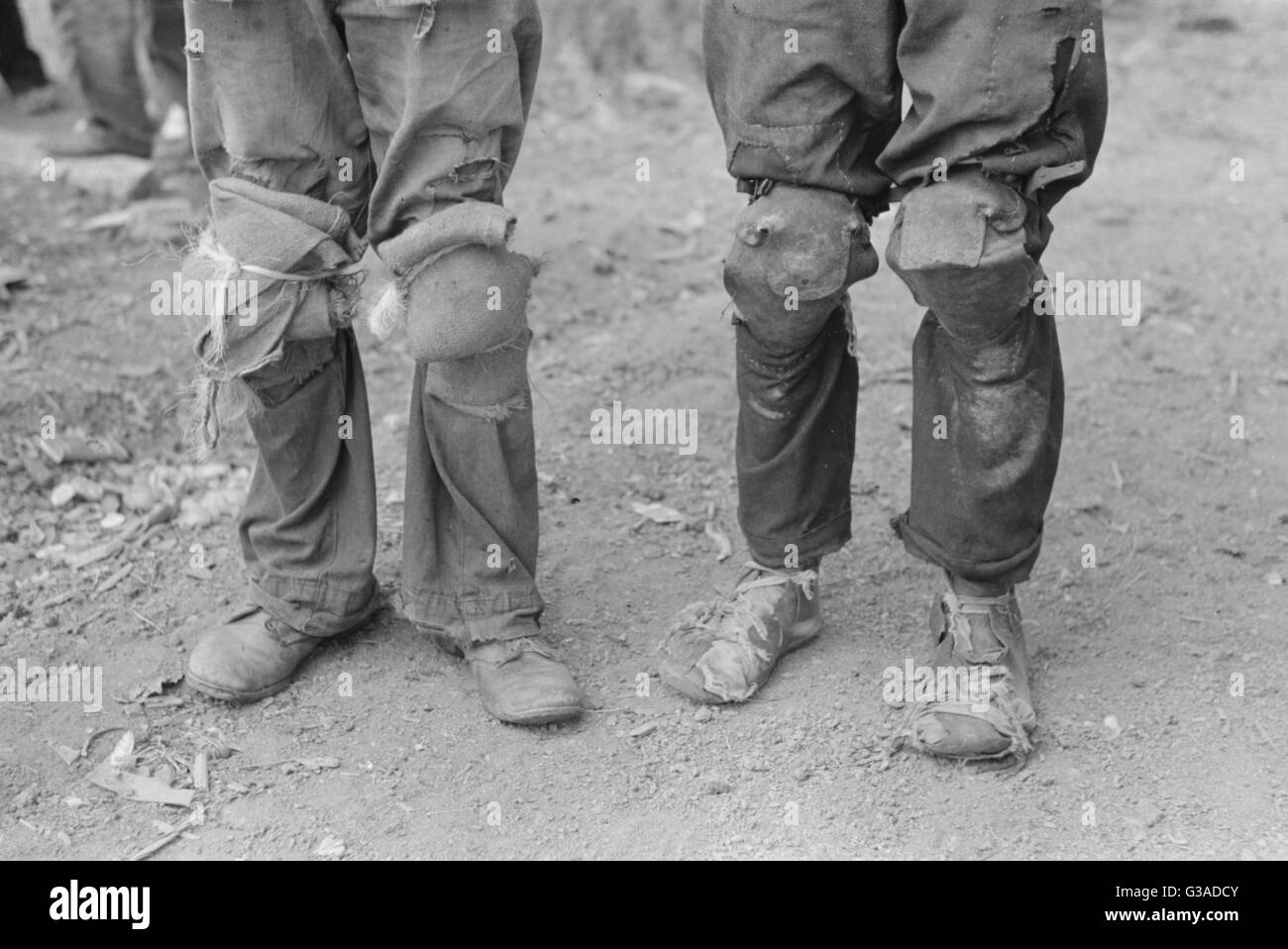 The american pickers hires stock photography and images Alamy