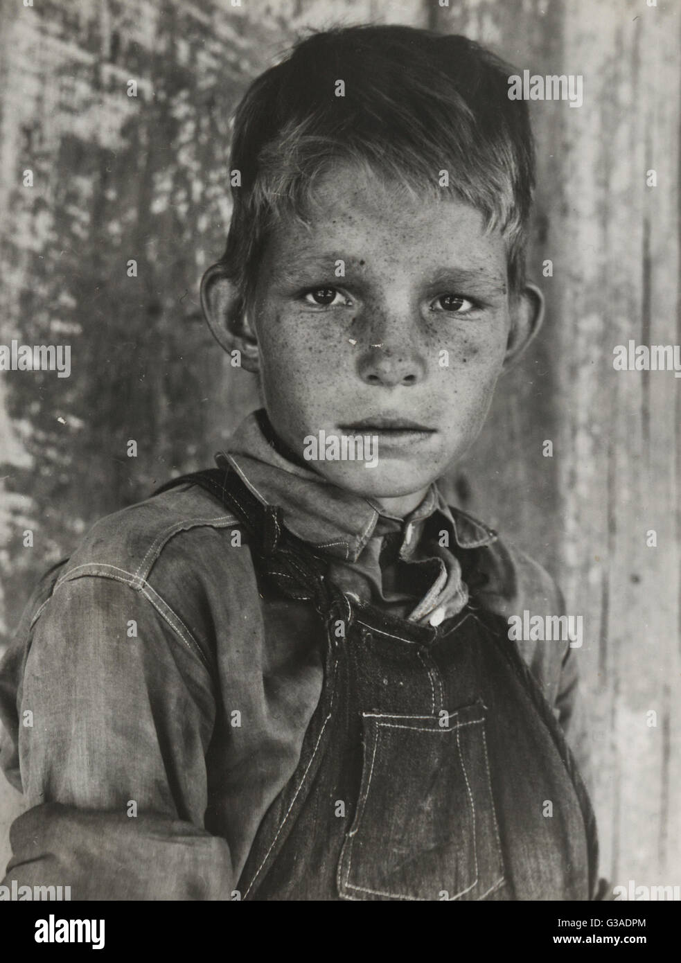 Twelve year old son of a cotton sharecropper near Cleveland, Mississippi. Date 1937 June. Stock Photo