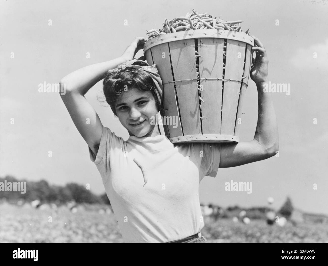 Italian day laborer with basket of beans she has just picked. Seabrook Farms, Bridgeton, New Jersey. Date 1941 May. Stock Photo