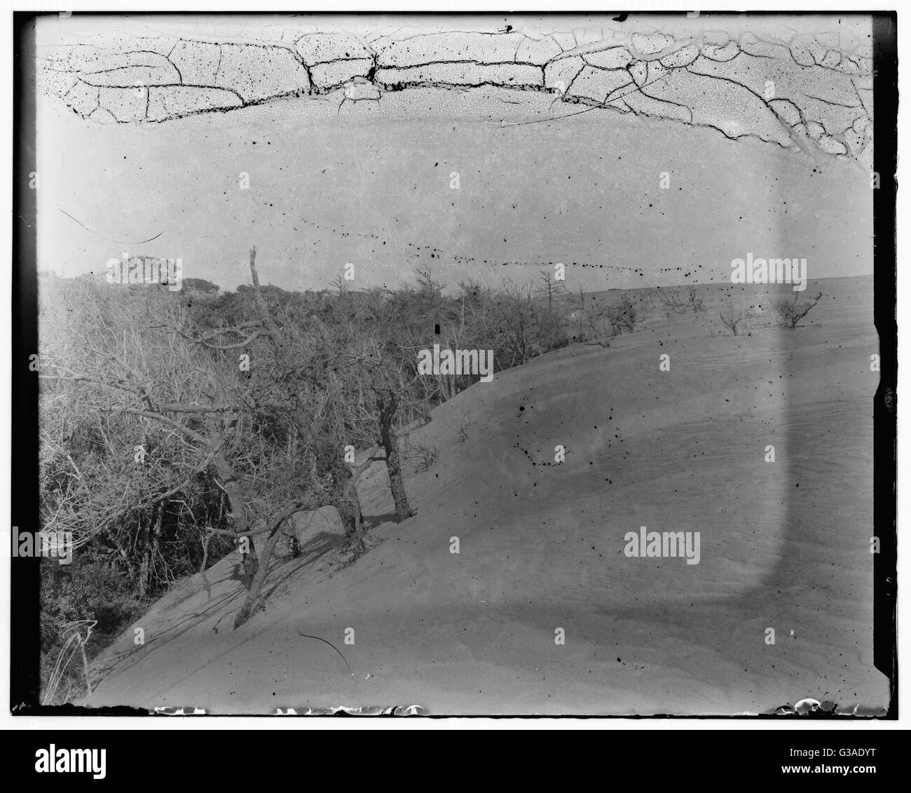 View of Kitty Hawk, North Carolina, photographed by the Wrig Stock
