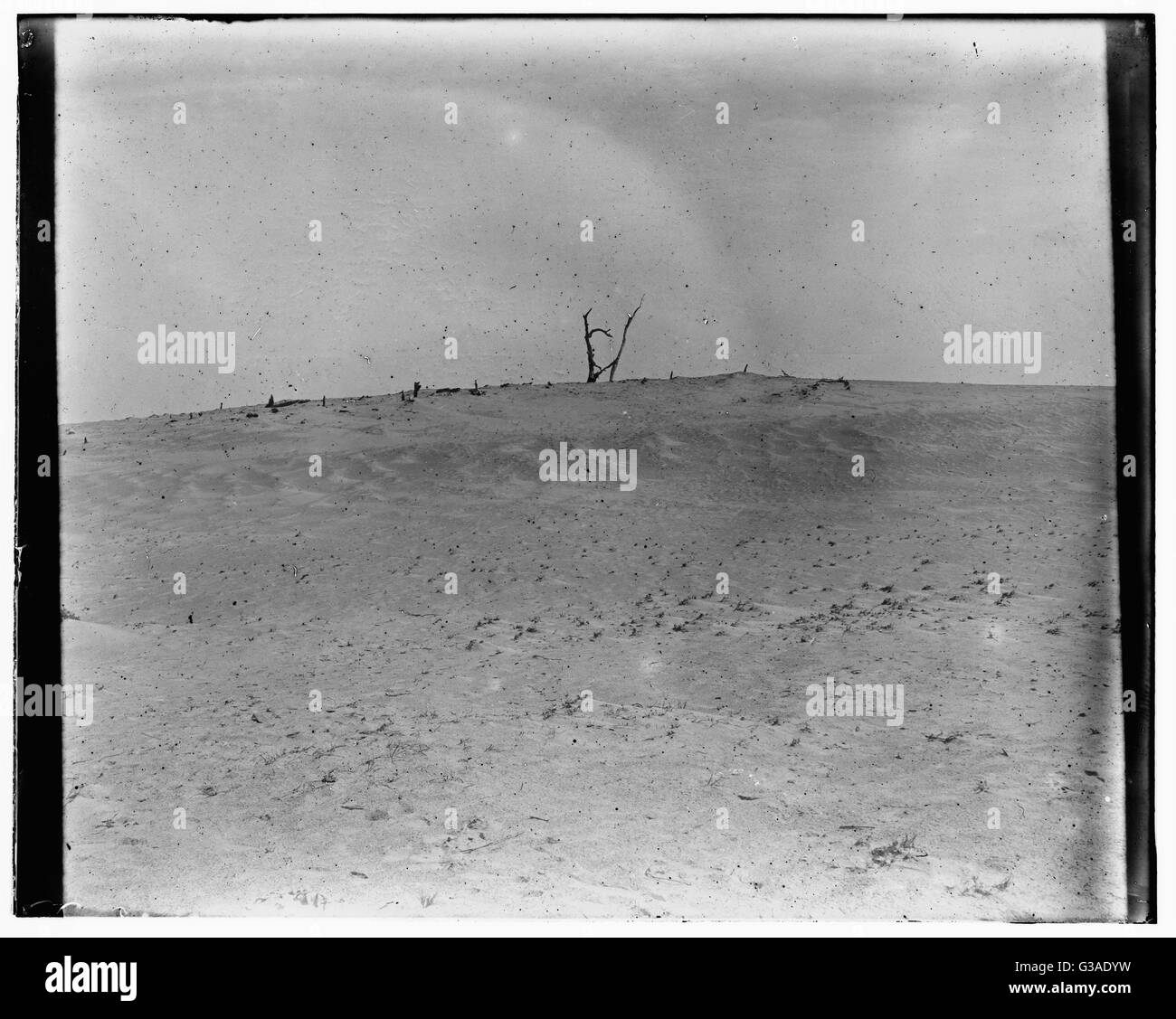 View of Kitty Hawk, North Carolina, photographed by the Wrig Stock