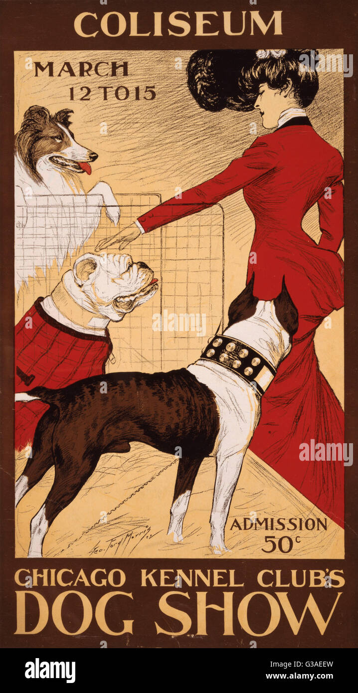 Design an attractive poster for the dog show clearance that your kennel club is going to organise