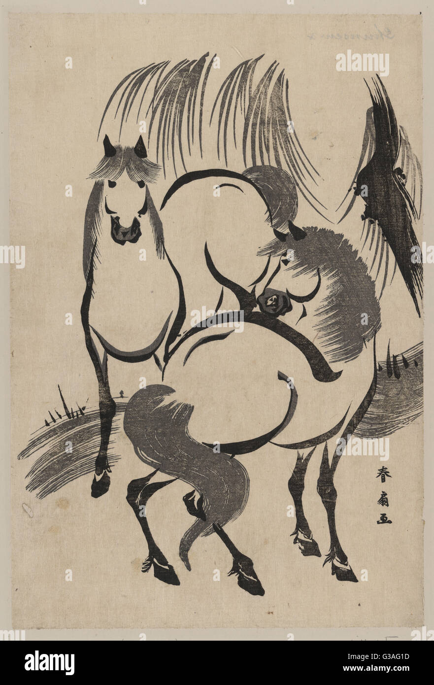 Horses under a willow tree Stock Photo Alamy