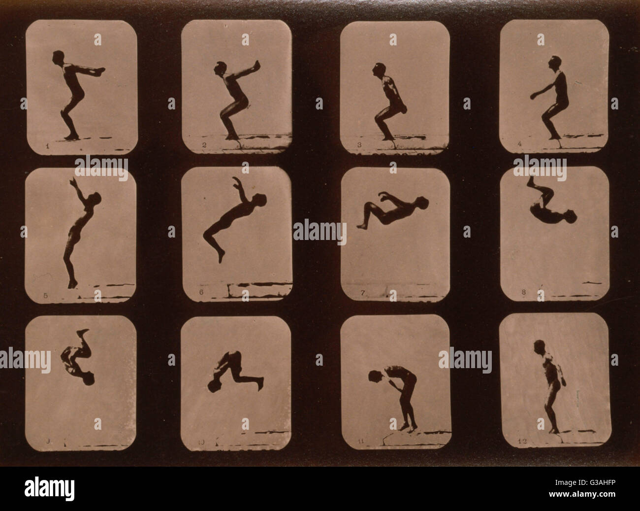 Summersault hi-res stock photography and images - Alamy