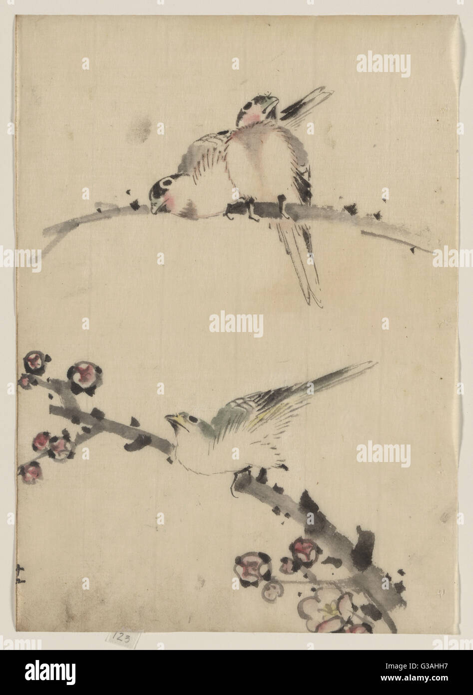Three birds perched on branches, one with blossoms Stock Photo